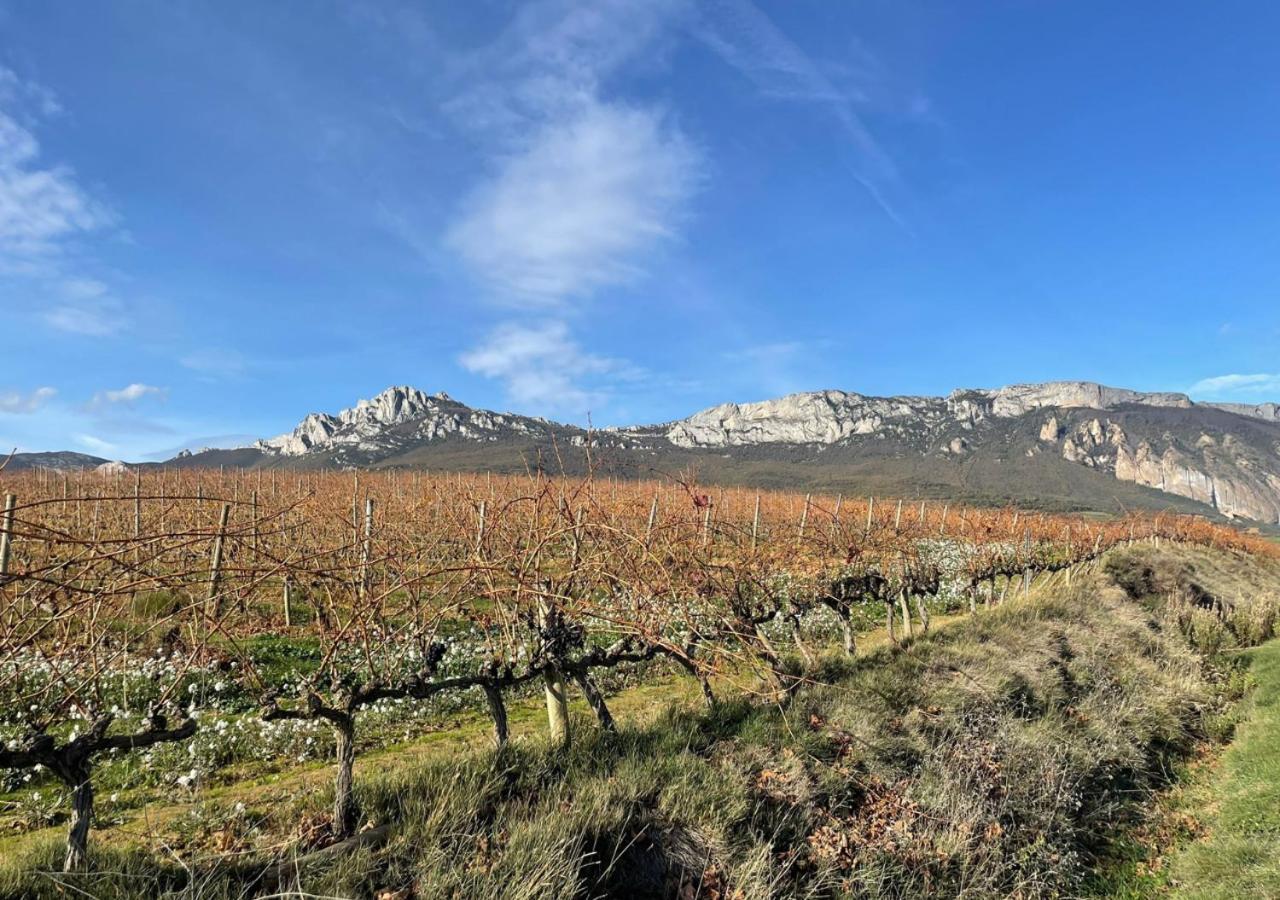 Alojamiento Rural Coliving Sojuela エクステリア 写真
